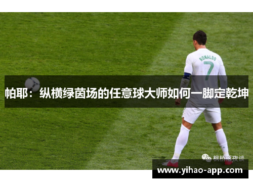 帕耶：纵横绿茵场的任意球大师如何一脚定乾坤