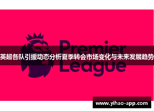 英超各队引援动态分析夏季转会市场变化与未来发展趋势
