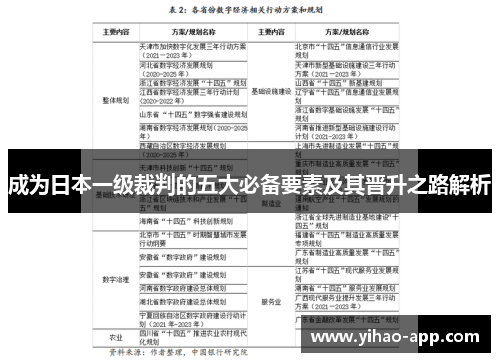 成为日本一级裁判的五大必备要素及其晋升之路解析