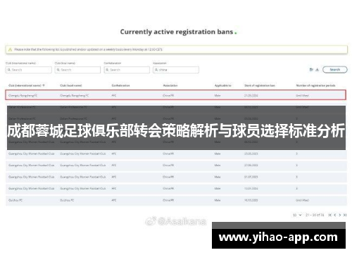 成都蓉城足球俱乐部转会策略解析与球员选择标准分析