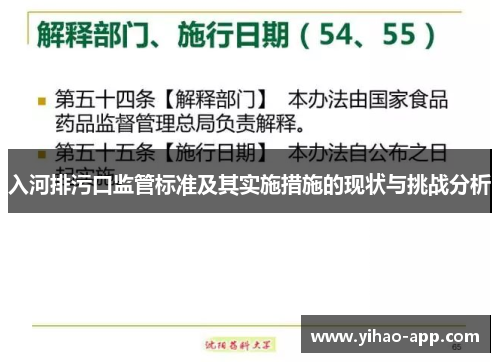 入河排污口监管标准及其实施措施的现状与挑战分析