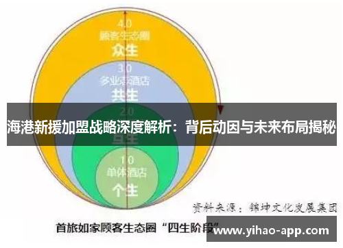海港新援加盟战略深度解析：背后动因与未来布局揭秘
