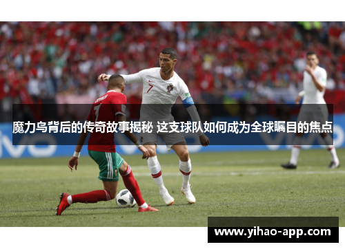 魔力鸟背后的传奇故事揭秘 这支球队如何成为全球瞩目的焦点